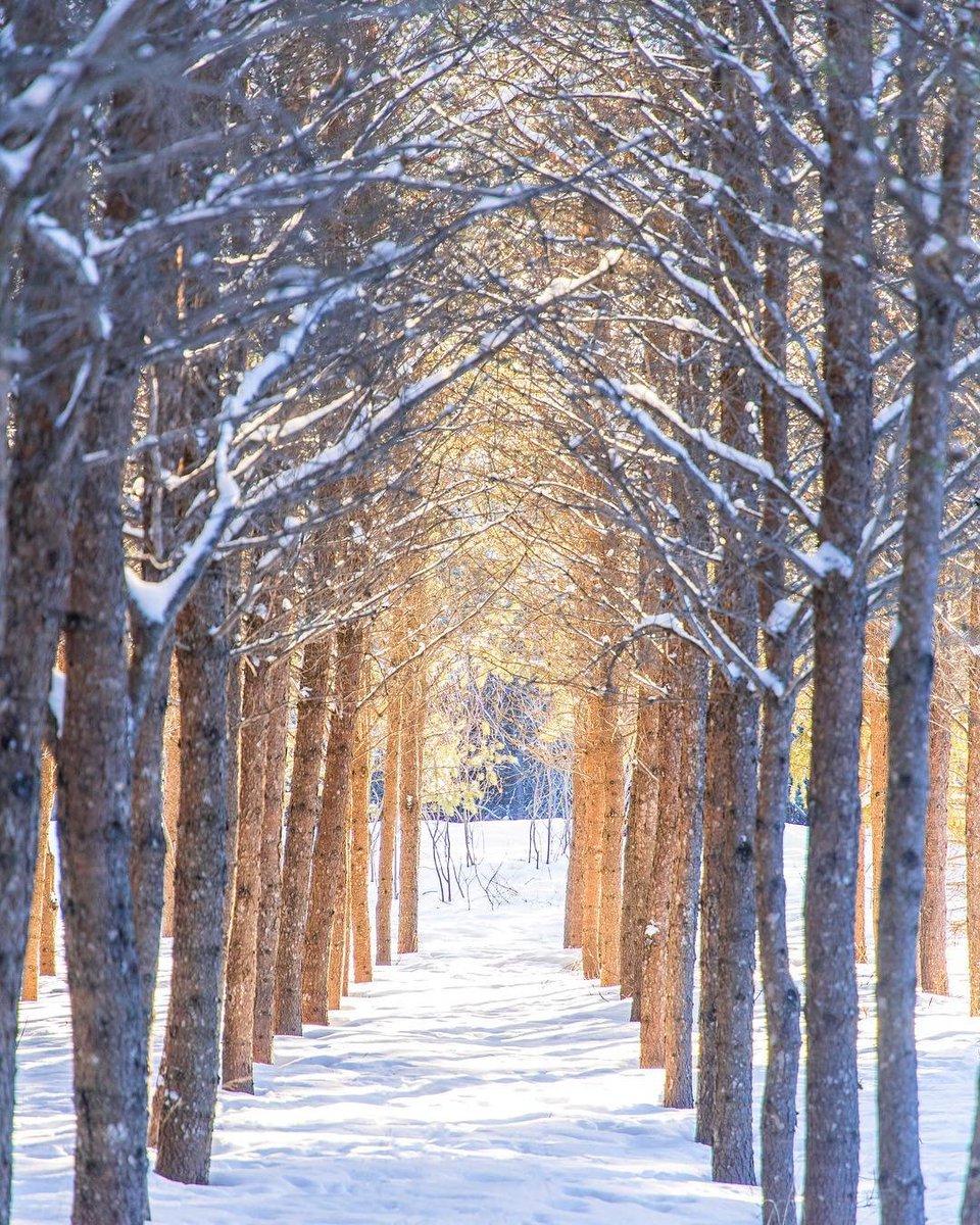 «Voir la lumière au bout du tunnel»... Merci pour la lueur d'espoir, <a href="/raphtravels/">RAPHTRAVELS&TOURS</a> 🥰