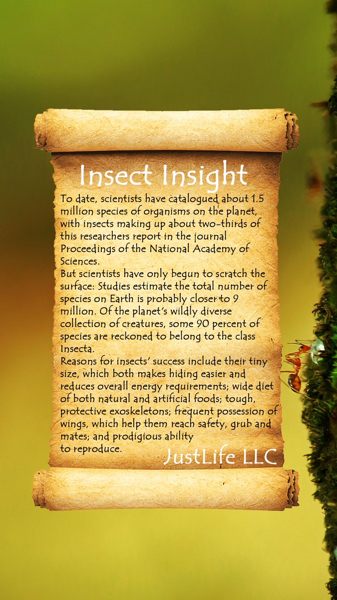 We're just built different . . . 🪲🐜😤

#JustLife #bugs #FunFact #Science #NaturePhotography #naturelovers #evolution #biodiversite #biodiversity #Biology #community #SaveThePlanet

🌍🌍 <a href="/nftJustLife/">JustLife</a> 🌍🌍