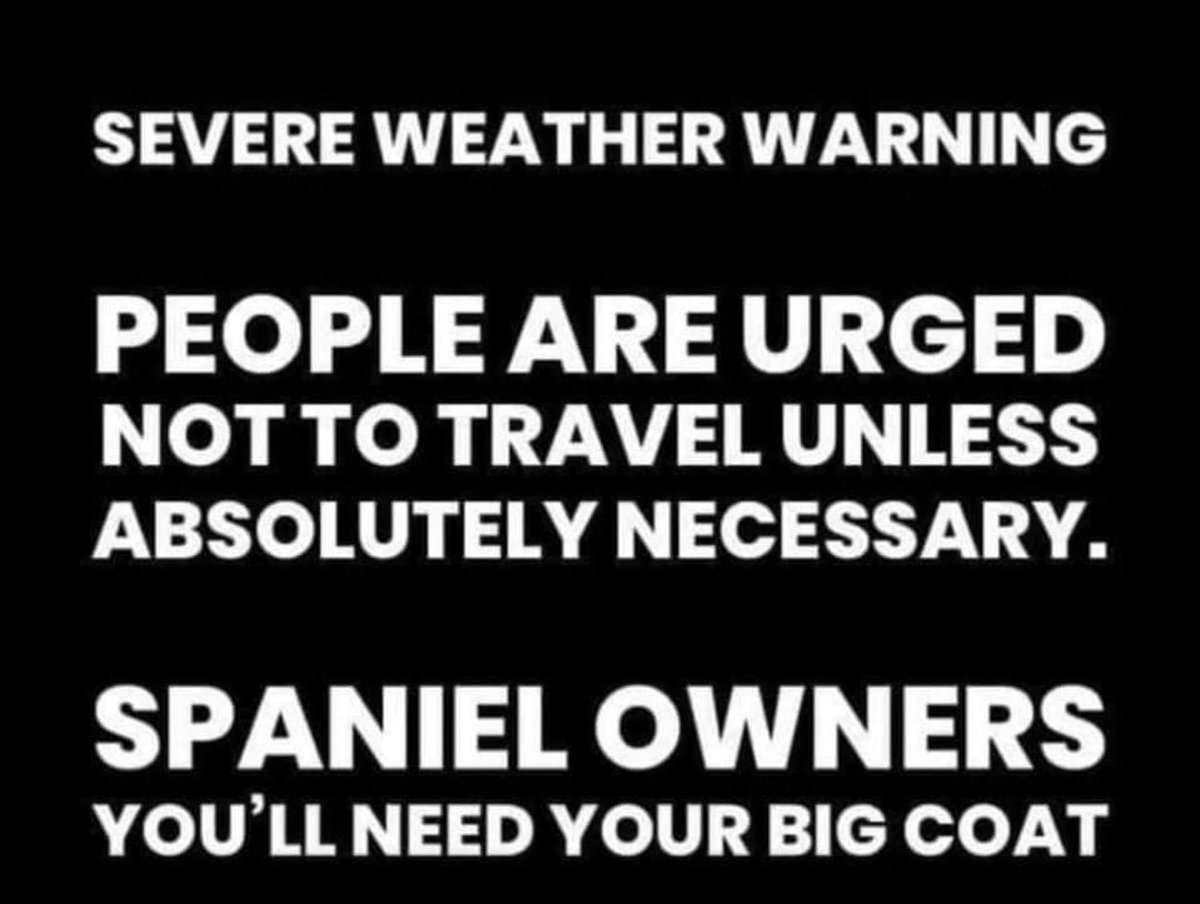 So true. Spaniels don’t care🤣
<a href="/muddywetspaniel/">Muddy Wet Spaniel</a> what do you think? 🤣🐾