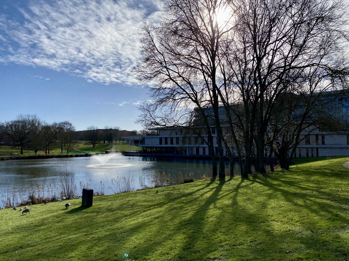 Treeborker's tweet image. A lovely campus walk today @Essex_Estates
