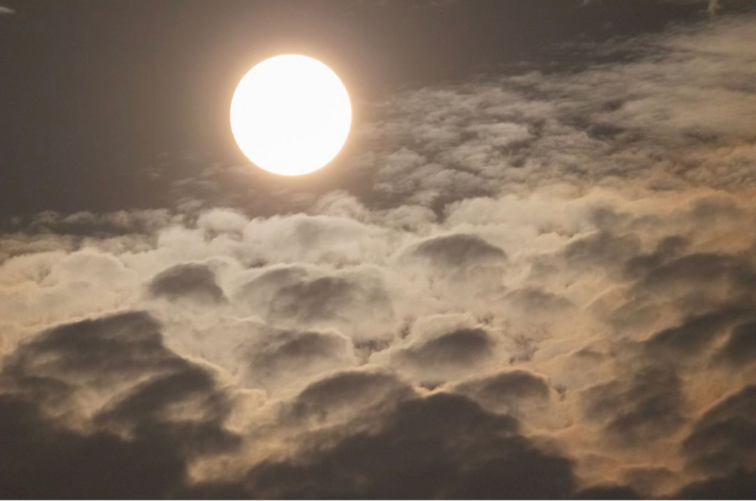 BEAUTOLOGYLAB's tweet image. Full moon got me like… 

Is the full moon affecting you? I’m getting better at noticing how the movements within our solar system impacts my mood and overall energy. I’m a Pisces so I feel a lot and I definitely felt this one. 

Our attention should not be focused on judgin