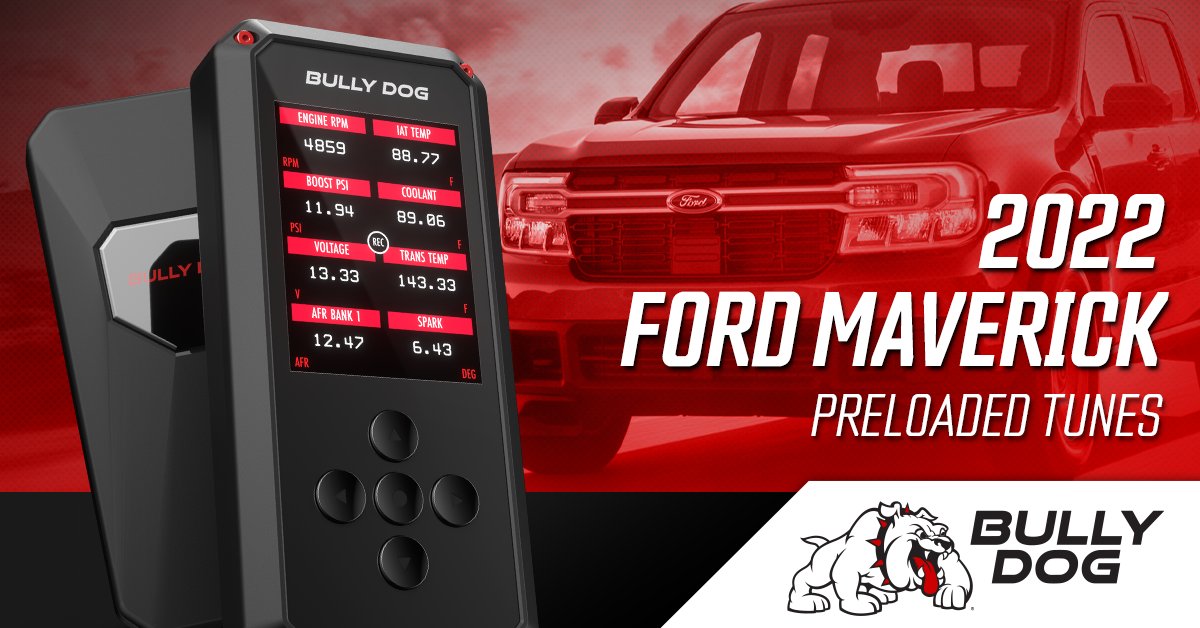 Bully Dog tweet media