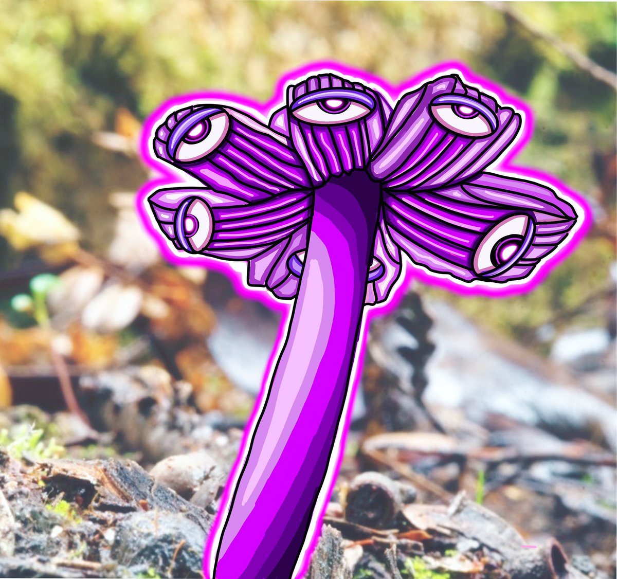 BraxtonBits's tweet photo. Mush love to everyone today! 🍄💜

Here’s a new one “Mauve Splitting WaxCap”

Have a great day! https://t.co/NkE8Qld1lN