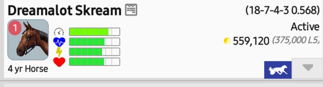 Dreamalot Stables tweet media