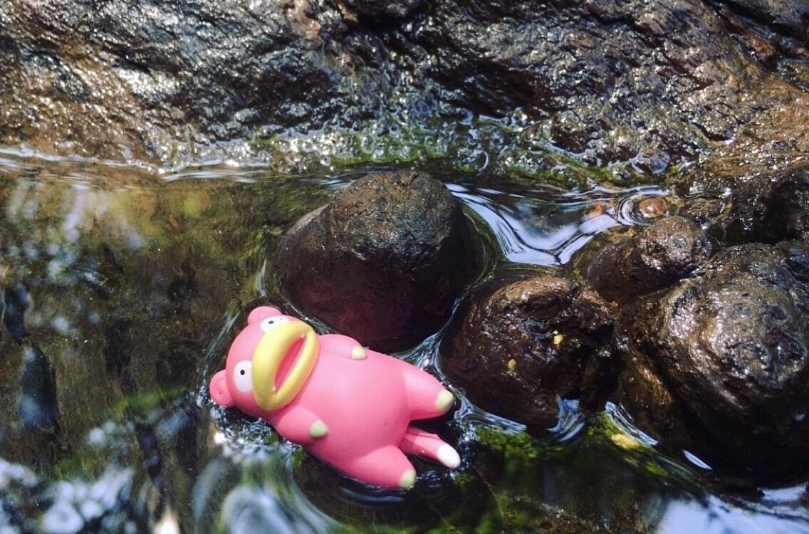 keyser_soma's tweet photo. Mood, https://t.co/6b84o0Gcb9