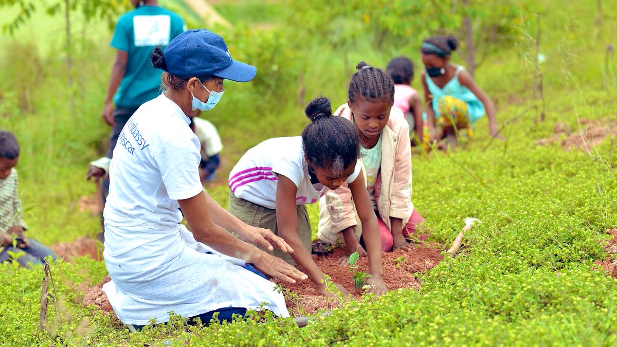Planting trees 🌳, done right, can help protect local populations, biodiversity &amp; the 🌍.

<a href="/UKinMadagascar/">UK in Madagascar</a> delighted to join forces again with @TeamKMCC, <a href="/DurrellWildlife/">Durrell Wildlife Conservation Trust</a>, <a href="/robensgroup/">Robens Group</a>, MEDD, &amp; Vatovaky &amp; Ambalavao schools - to check on last year’s seedlings 🌱 &amp; plant lots more!