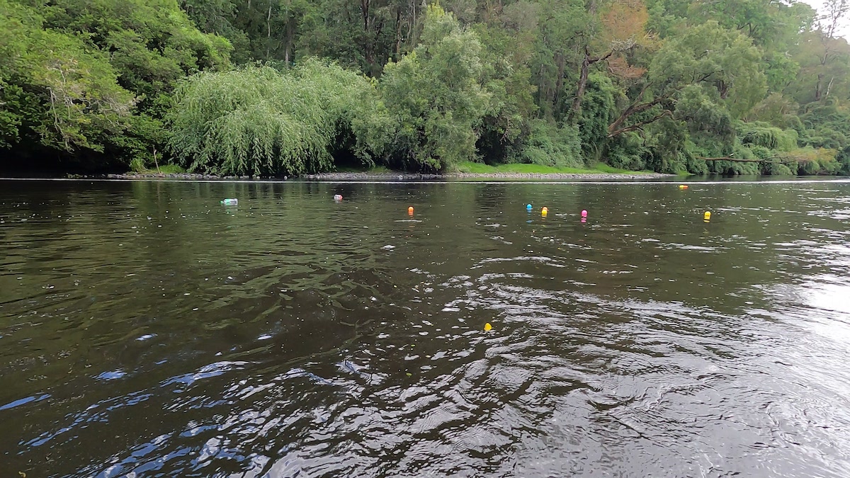 “Nauco River Clean Up”: Proyecto busca mediante una barrera de burbujas descontaminar los ríos ->bit.ly/3JGl9tv