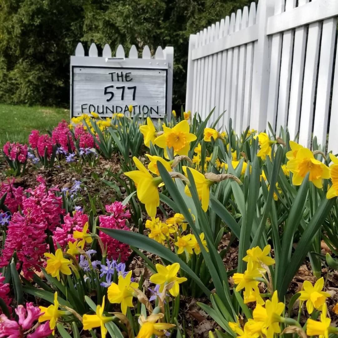 577Foundation's tweet image. Let’s brighten this gloomy day with a spring throwback photo. Who’s ready for tulips, daffodils, hyacinths, and bluebells? 🌷 Only 31 days until the first day of spring! 

#577foundation #almostspringtime #springflowers #perrysburgohio