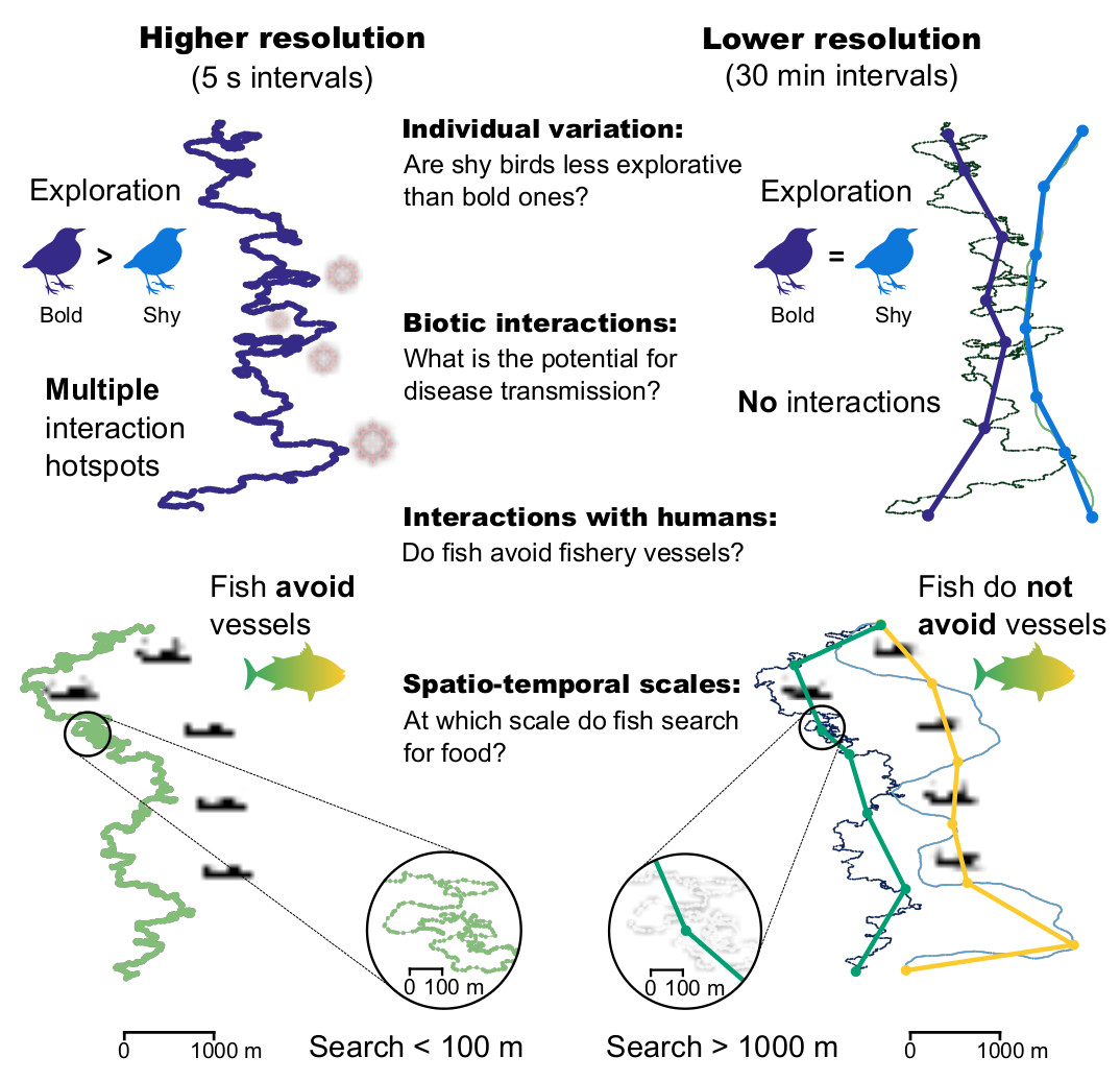 IvanJaric's tweet image. On high-throughput #animaltracking technologies and ongoing #BigData revolution in #MovementEcology, new study by an amazing team led by @ran_nathan now published in @ScienceMagazine science.org/doi/10.1126/sc… #fishsci #Ecology #AnimalMovement #biologging #Telemetry @FishTelGroup