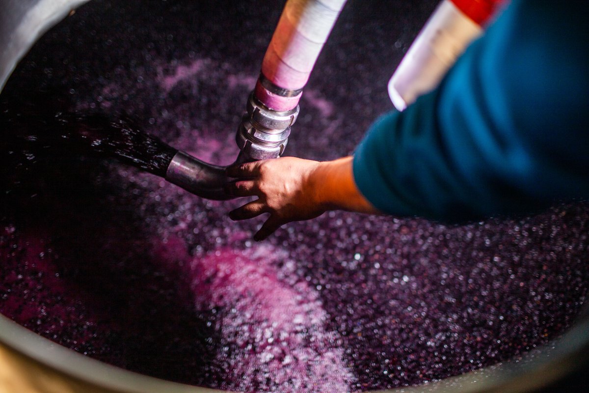 TODOS LOS DÍAS realizamos Tours Guiados para que nos conozcas y pruebes nuestro vinos.

HACE TU RESERVA
261 341-0364