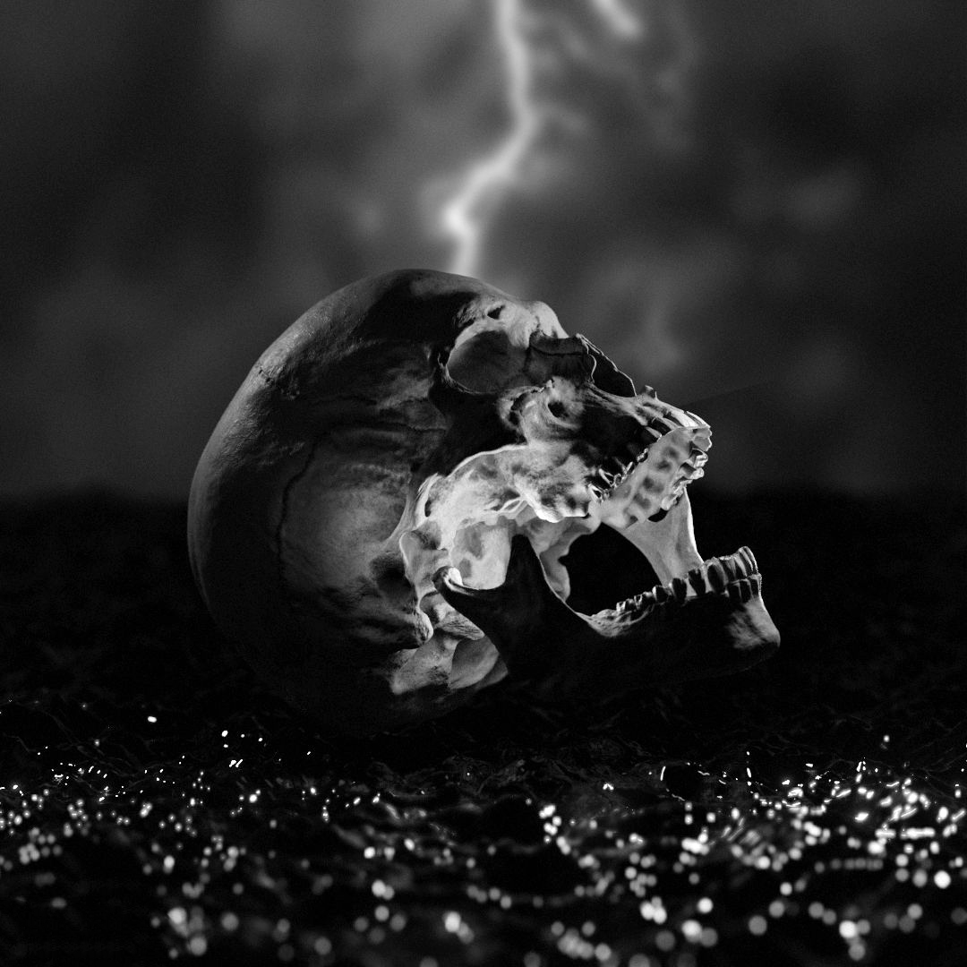 Nebessky1's tweet photo. Skull inspiration #nft #skull https://t.co/bgHr1noQCV