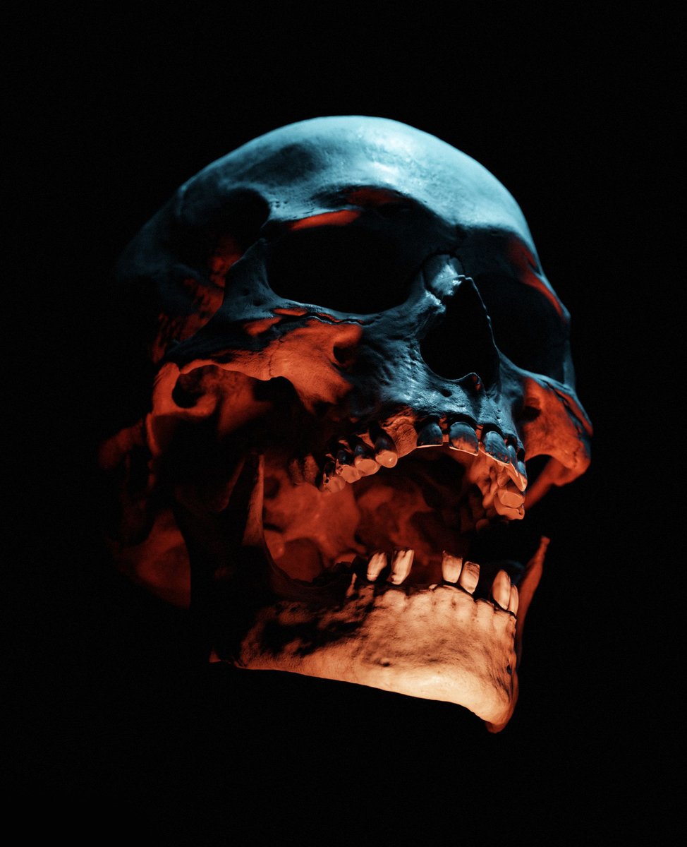 Nebessky1's tweet photo. Skull inspiration #nft #skull https://t.co/bgHr1noQCV