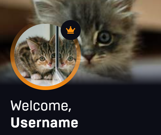 CyberJenni's tweet photo. At least I got a little crown. https://t.co/fVdW6BhFx4