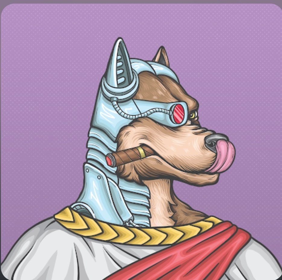 pumba750's tweet photo. @Jax0ncolenft @cunningWolfNFT https://t.co/vLOl75PBz4