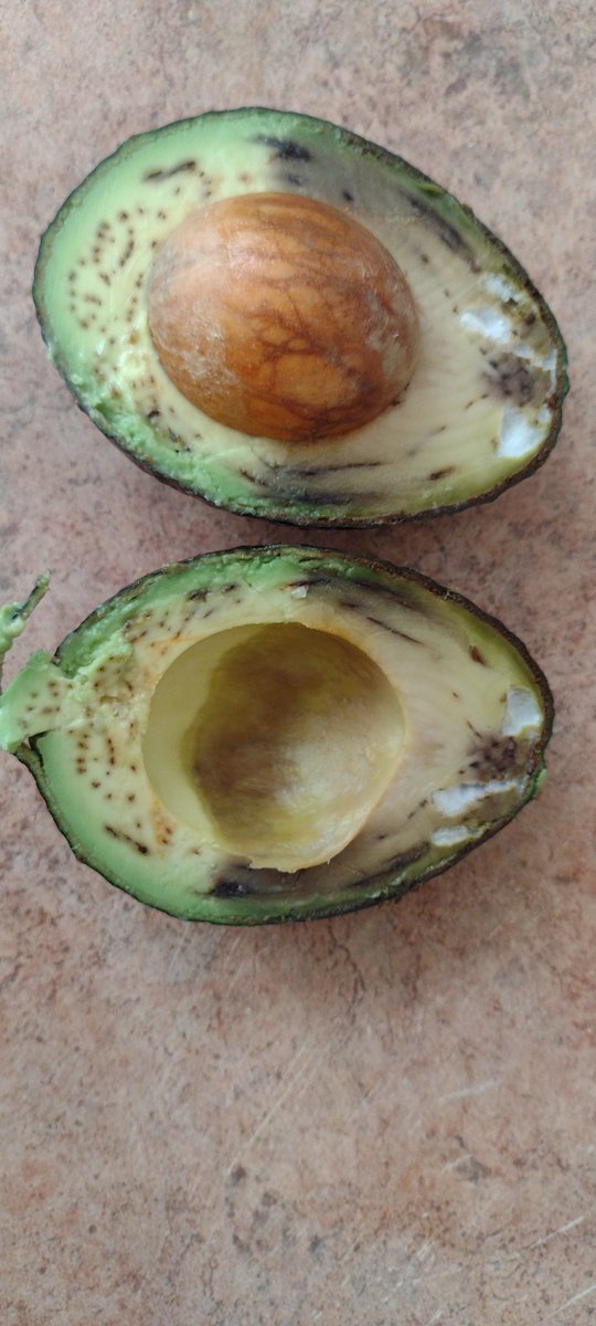 Rafanicolas1000's tweet photo. Pésima la calidad en el área de verduras en @TiendaSoriana @OrgSoriana  en particular en la tienda en Monterrey zona cumbres 
Y con lo caro que está el aguacate
No regreso nunca más https://t.co/BSHGf9DWAS