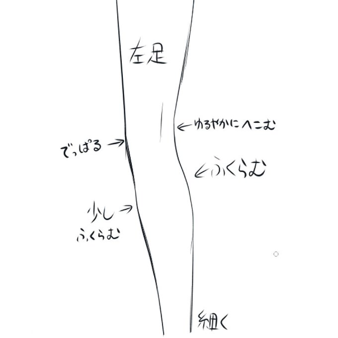 まだまだ下手ですが脚の研究です 