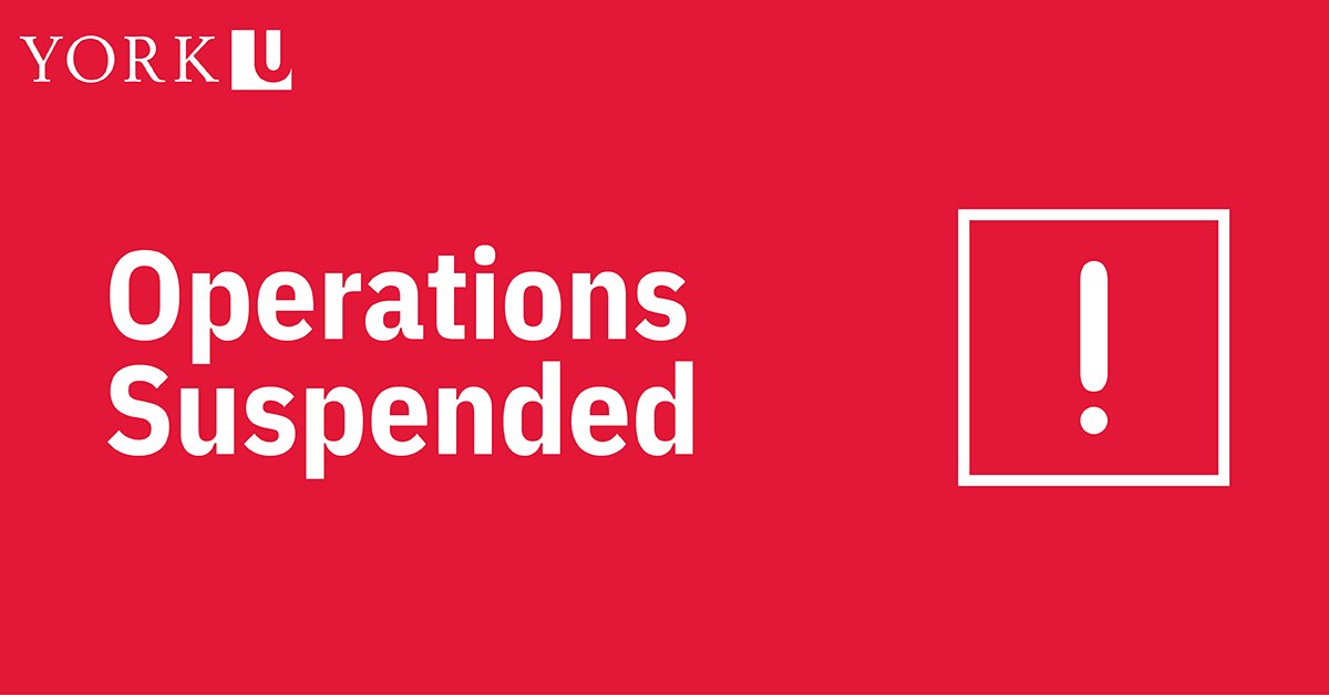 York University tweet media