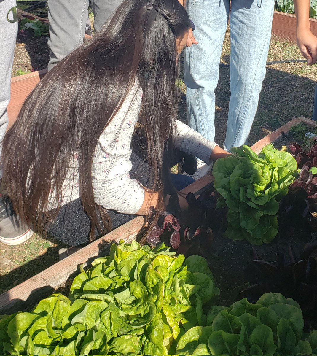 Rio Farm to School tweet media