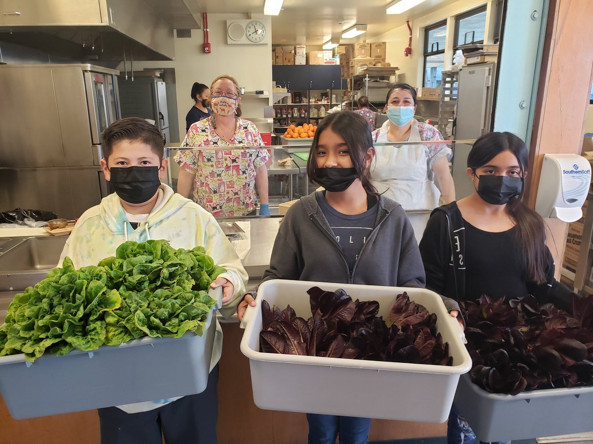 Rio Farm to School tweet media