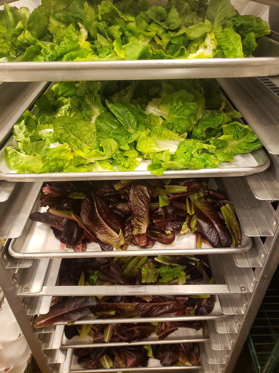 Rio Farm to School tweet media
