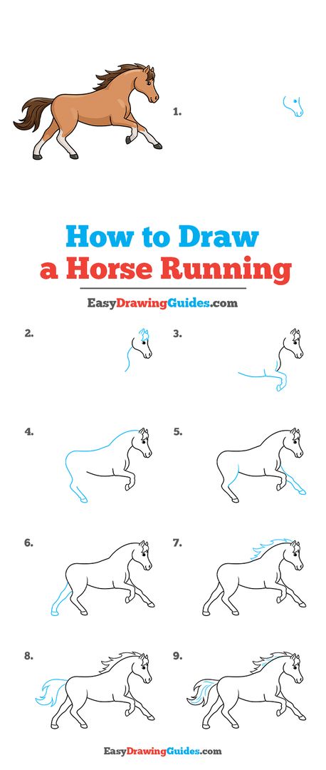 How to Draw a Horse {Step by Step with Printable Guide}