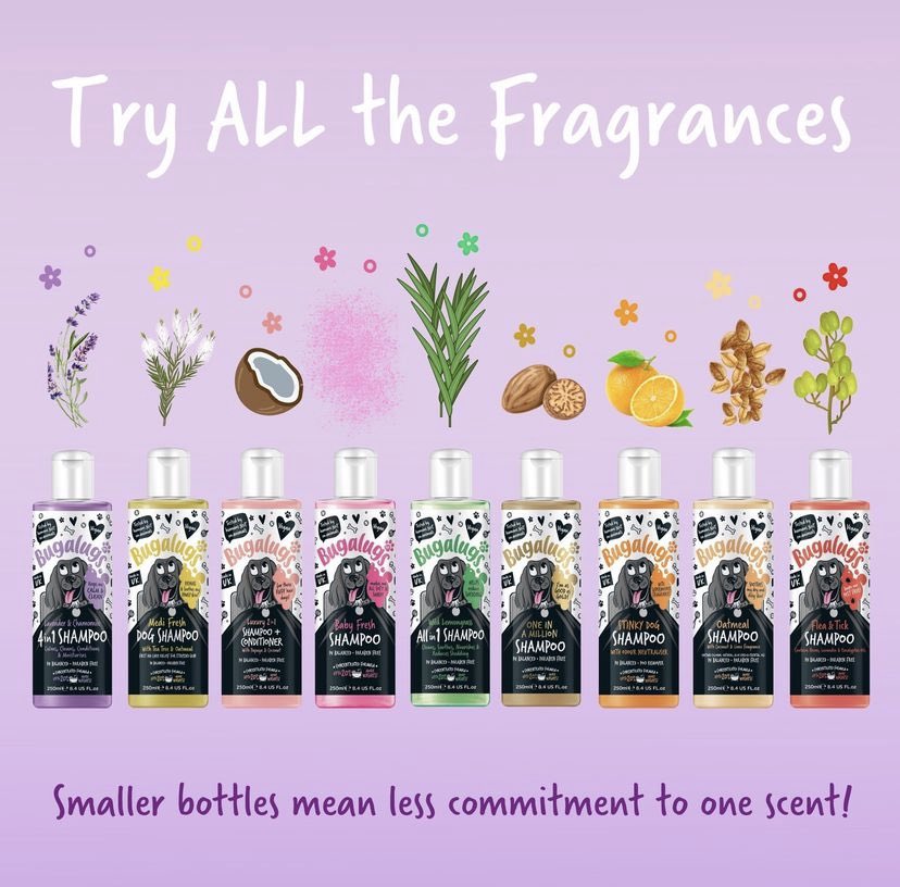 bugalugspet's tweet photo. Say hello to our brand new 250ml sizes!🤩

Same great ingredients, same great scent! 

Available in our full range, great for on the go or trying a new scent! Get yours now on our website 🤩😆👇

https://t.co/VE4mHBoKJd

#dogsoftwitter #dogbath #petcare https://t.co/t8o21dNVsl