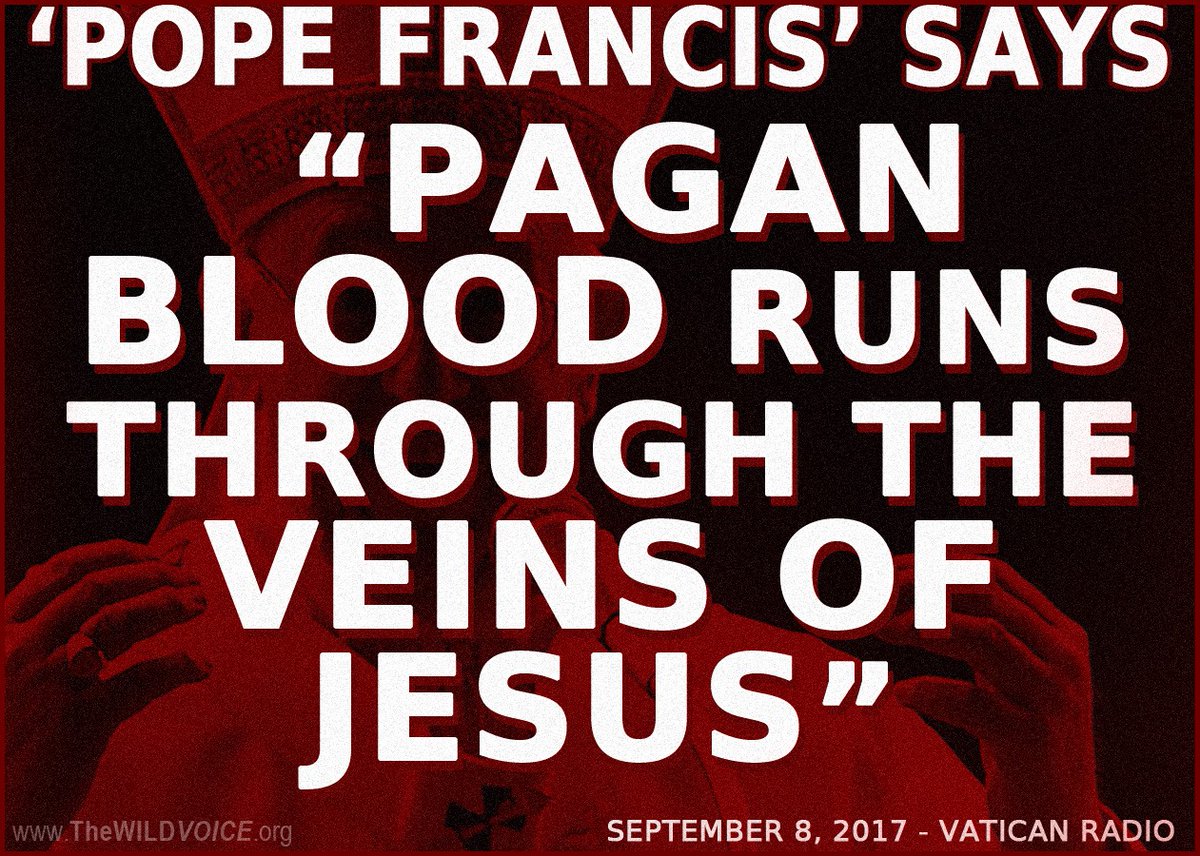 The Most Holy BLOOD of JESUS CHRIST 'was PAGAN' ??
 -FALSE PROPHET #PopeFrancis 

CHRONOLOGY OF FRANCIS QUOTES
thewildvoice.org/pope-francis-c…

#Catholic #CatholicTwitter