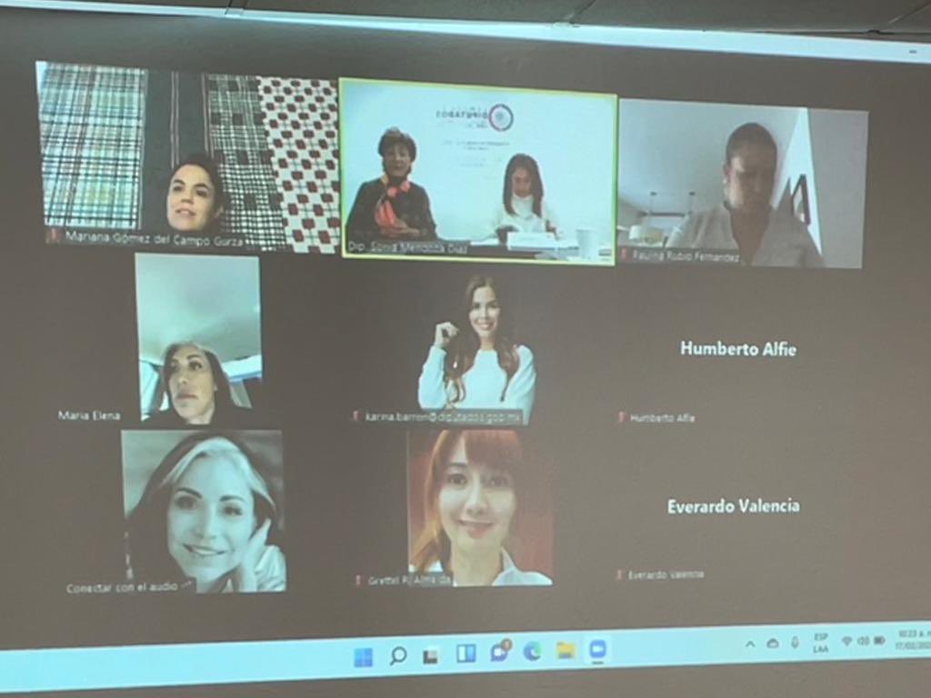 SoniaMendozaSLP's tweet photo. Reunión de la subcomisión de igualdad y género de ⁦@Mx_Diputados⁩ ! ⁦@DiputadosVerdes⁩ https://t.co/1G18JtzD5w