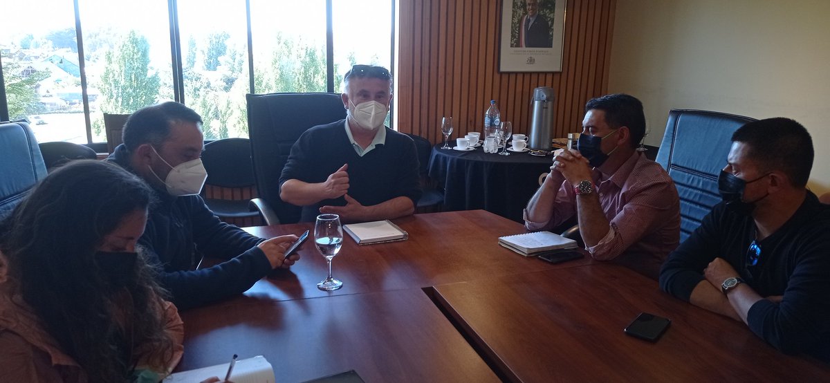 MuniPuqueldon tweet media