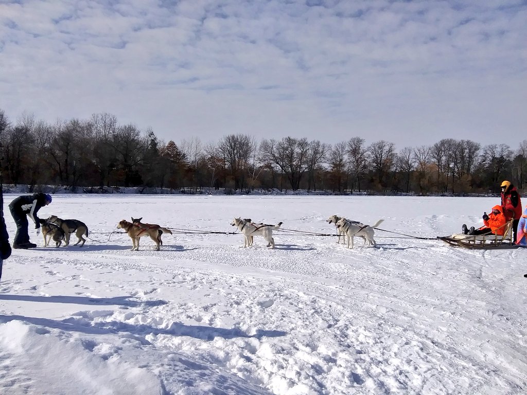 wineandhistory's tweet photo. We saw the world's largest ice carousel at the Ice Fest! They cut a big circle in the ice and put a motor on it so the circle rotates... Winter at its finest. You could go on a sled dog ride, play human foosball, and try curling! #icefest #icecarousel #sleddogs #curling #WINTER https://t.co/0G3gGsrrox