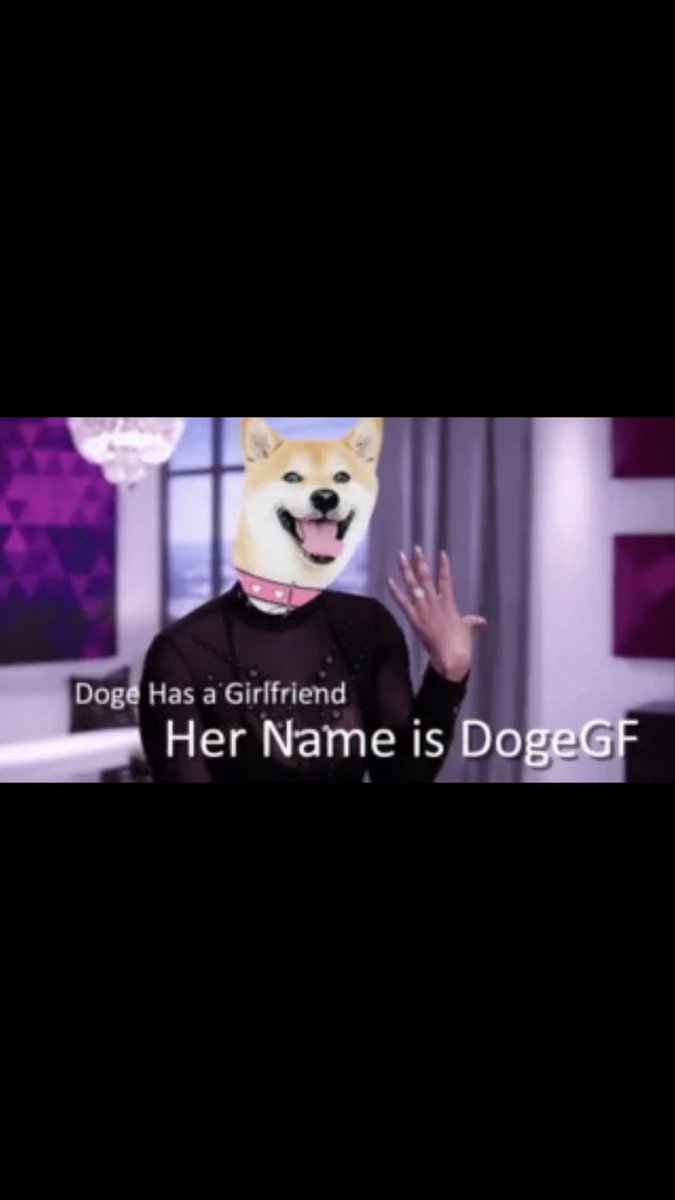DogeGF_Pimp tweet media