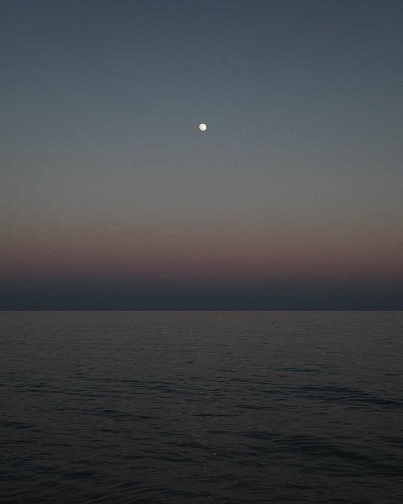 juanfabuel's tweet photo. Everything seemed to be in the right place for a sec. #Twilight https://t.co/xgLWky4Qzp