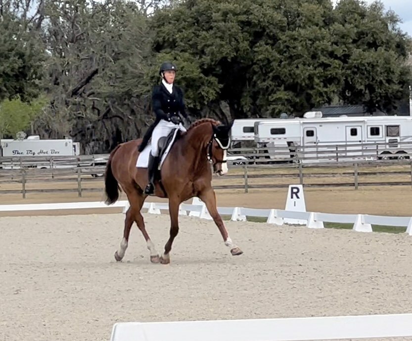 WallaceEventing's tweet photo. Really happy with the boys today @rockinghorsestables #SharpDecision aka Sharpie laid down a beautiful rideable test to score a 32.3 in his Advanced debut. I’m so proud of this guy I teared up a little in our final halt. ❤️
#LetitbeLee had a couple of li… https://t.co/alskhmSjdq https://t.co/lvUbS33TWa