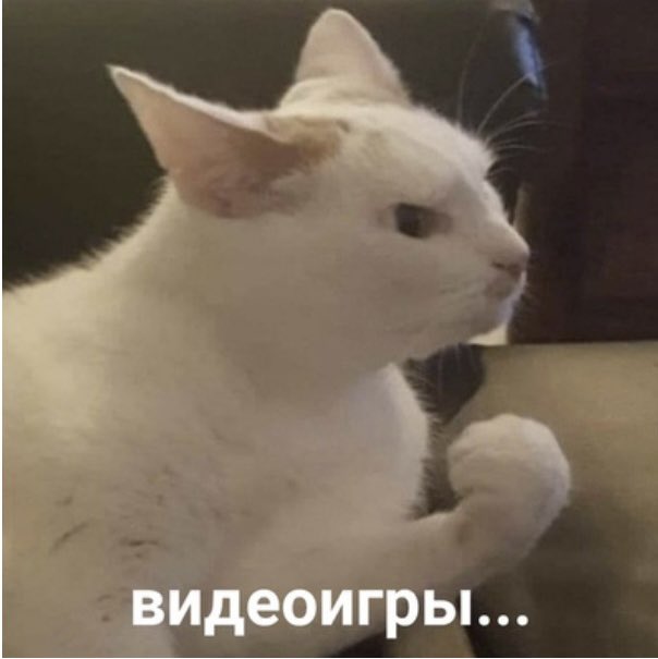 Славная tweet media