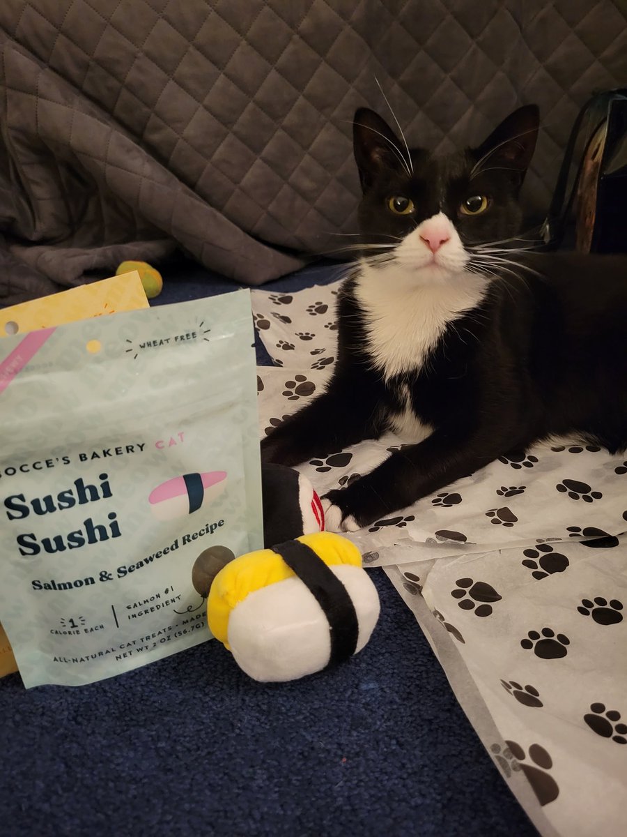 Absolutely purrfect. Thank you, <a href="/BoccesBakery/">Bocce's Bakery</a>! 🍣😻