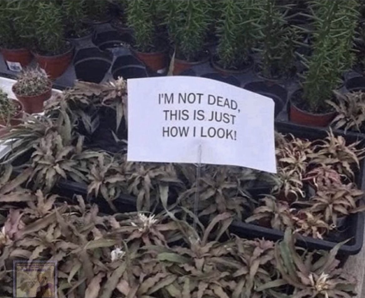 Read Pinned (Logged Out) (@ulth0per0b0t) on Twitter photo 