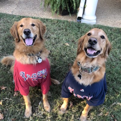 BeauRyley's tweet photo. #NewProfilePic https://t.co/Qt0On3a9QE