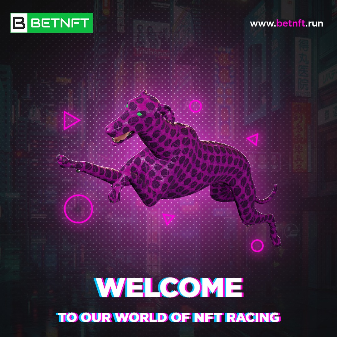 BetNFT - Digital Greyhound Racing (DGR) tweet media