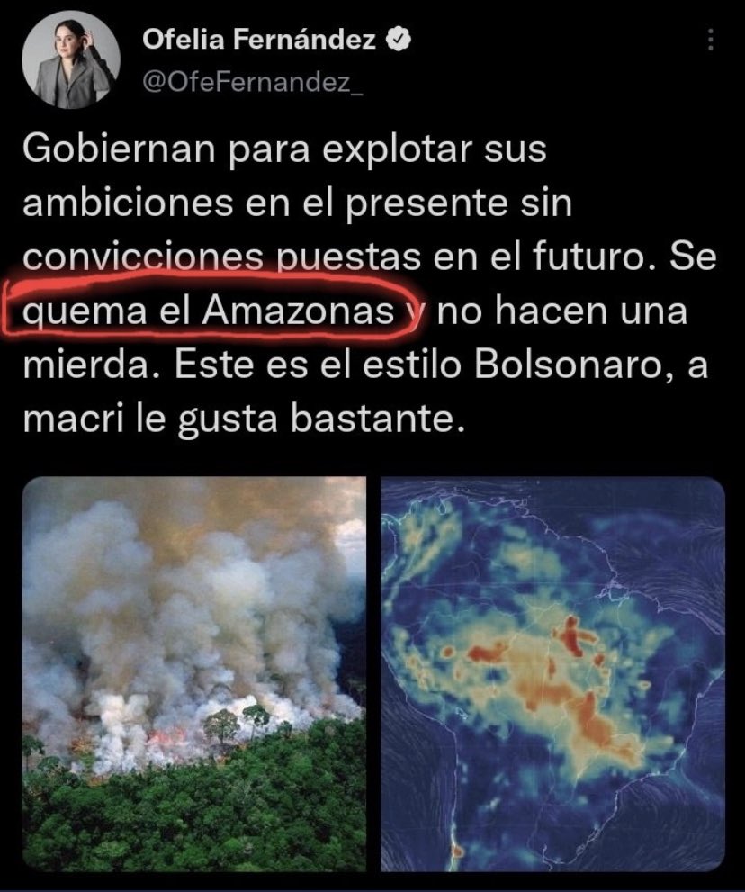 Hola <a href="/OfeFernandez_/">Ofelia Fernández</a> que te parece el Bolsonaro style que clavó tu gobierno?