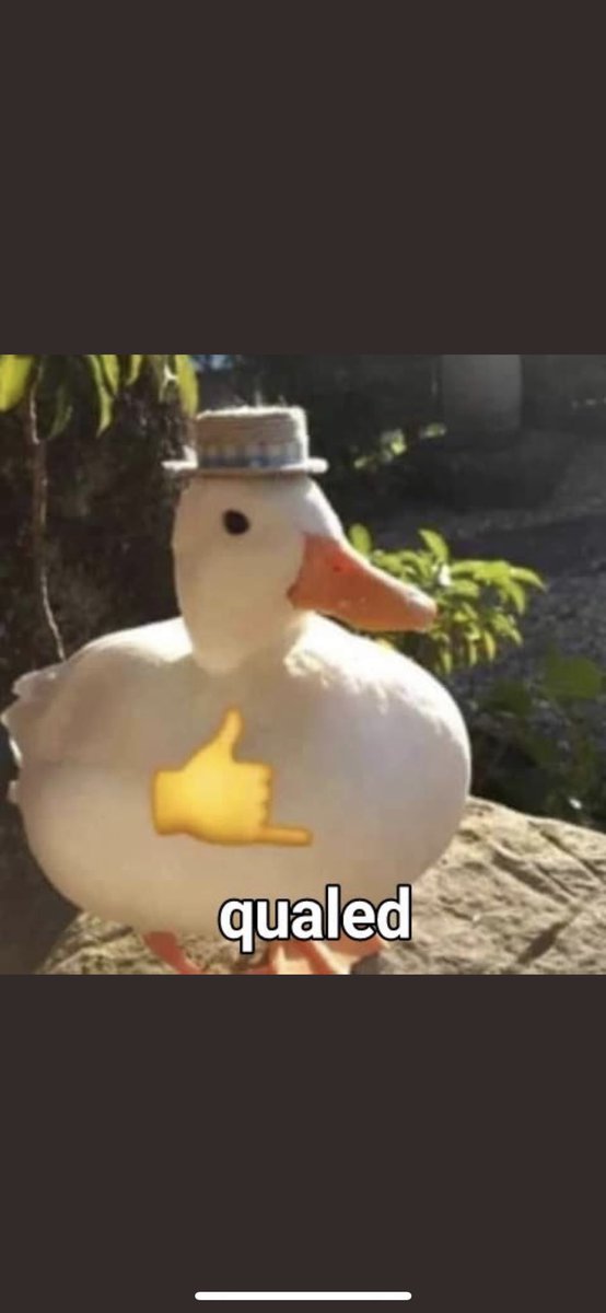 Dm for unban tweet media