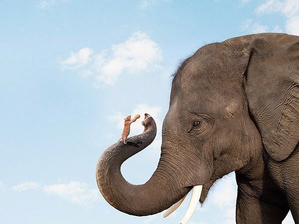 La Giornata Tipo tweet media