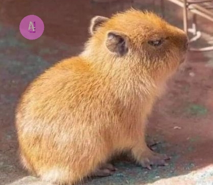 elespacioviral's tweet photo. - ¿Te vas a enojar por eso?

Yo: https://t.co/vii7psOrlB