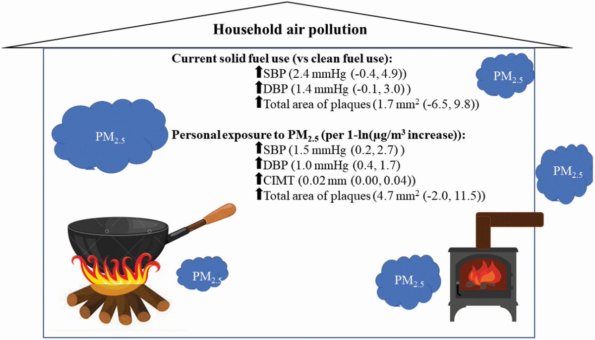 What is the effect of household air pollution (PM 2.5) on BP, pulse wave velocity and carotid intima-media thickness? Read this study from @jillcbaum et al to find out academic.oup.com/ajh/article/35… #OpenAccess