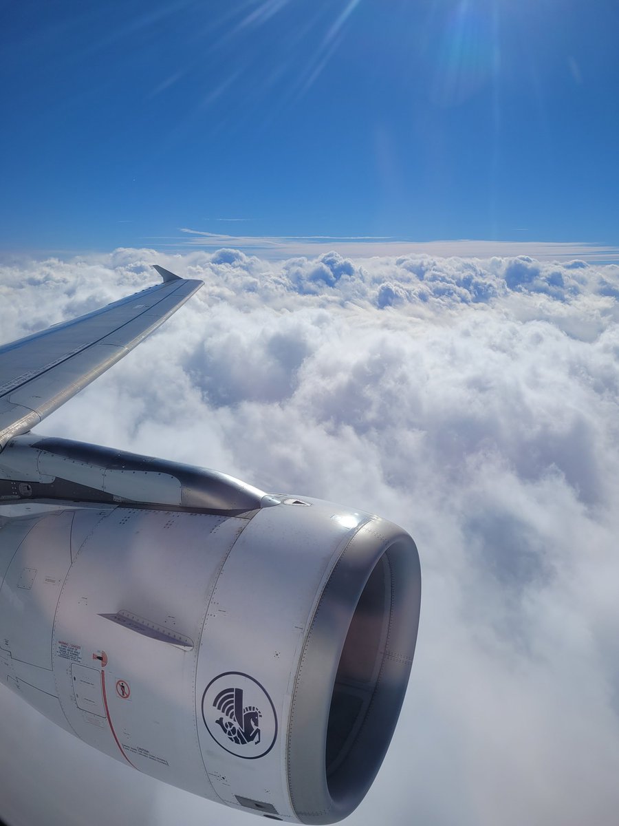 ChampagneFlyer tweet media