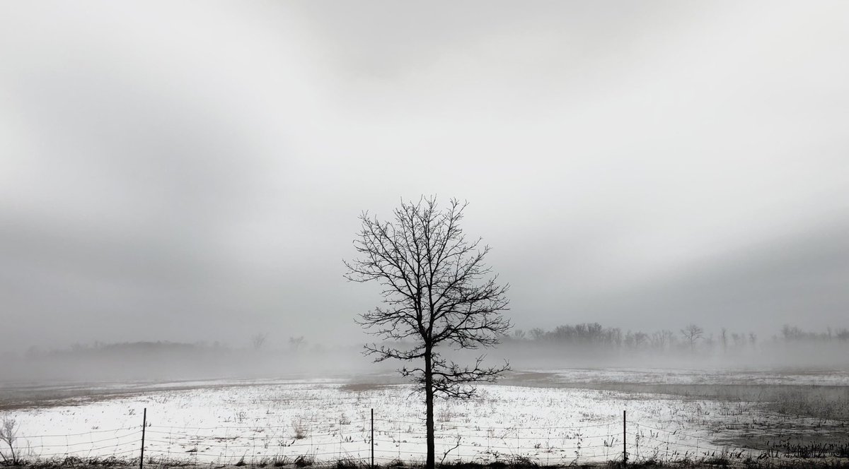 PatGrew's tweet photo. It’s foggy over the fields. Go grab your (phone) camera and get creative. #iphone8 #springfog #countryside #art #southfrontenac https://t.co/AjlmhMaHBG