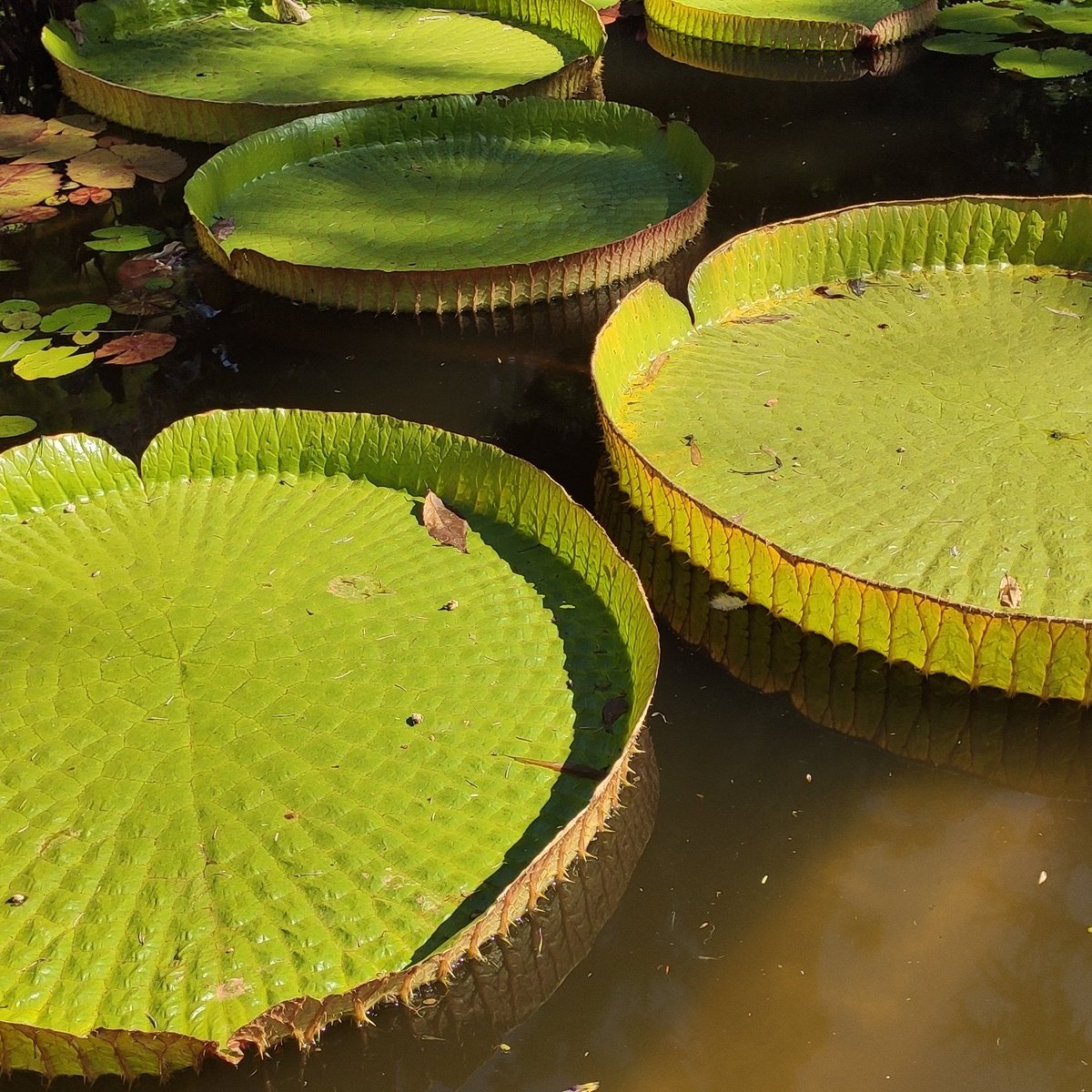 Aquariums and investments (Aquariums_inves) Twitter