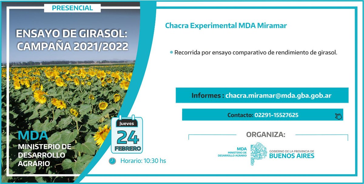El próximo jueves 24 realizaremos en la Chacra una recorrida por nuestro ensayo comparativo de rendimiento de girasol. 🌻

⚠️ La actividad comienza a las 10.30 hs.

¡Están todos invitados!

Consultas: chacra.miramar@mda.gba.gob.ar