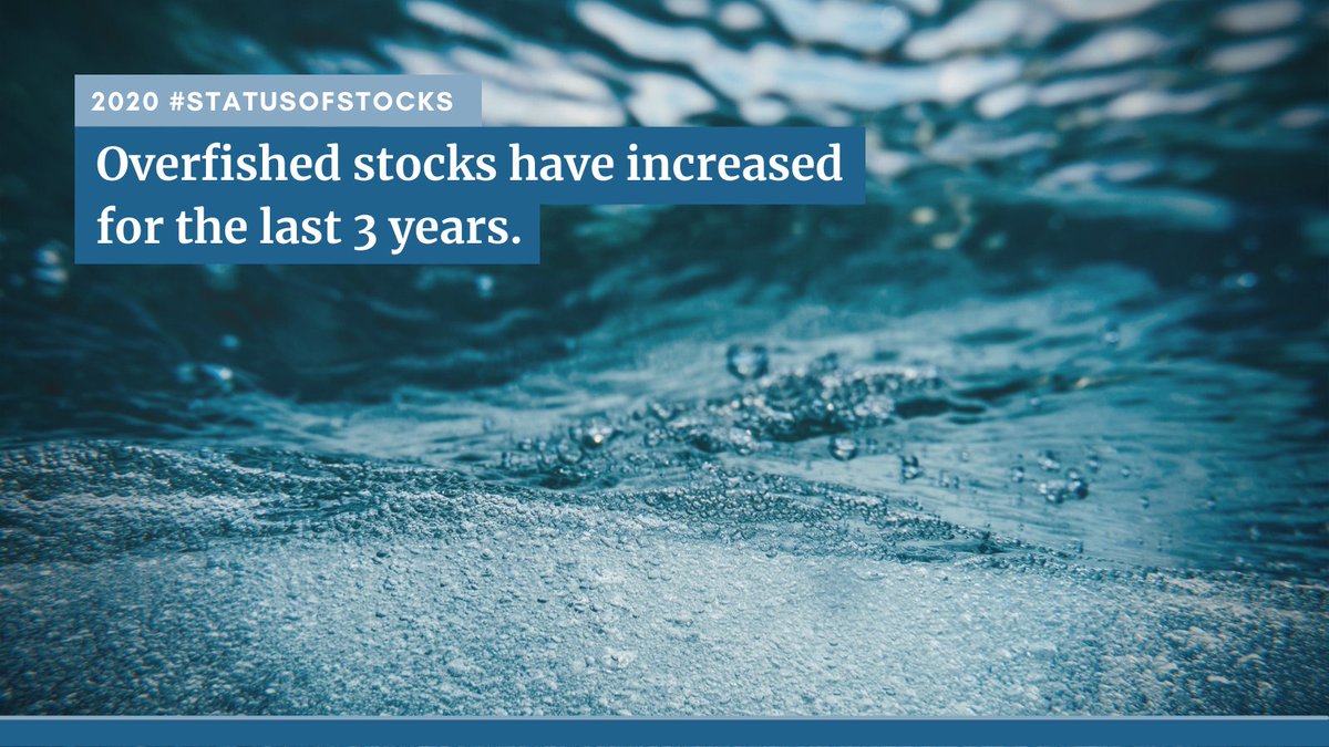 oceana's tweet photo. @NOAAFisheries' latest update shows that the number of over fished fish stocks in the U.S. continues to rise. @rickspinradnoaa @janetlcoit: We need you to correct course and improve sustainable fisheries management. #KeepOceansFishy https://t.co/mEcj57IFoU