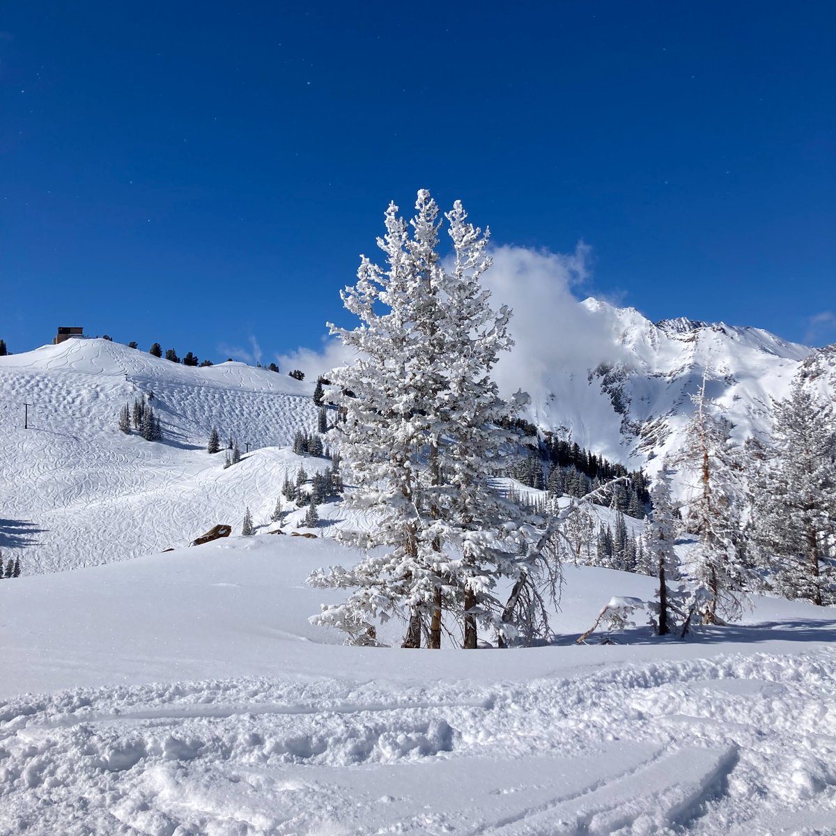 Another beautiful day in Little Cottonwood Canyon! 💙✨💙

#AltaMagic