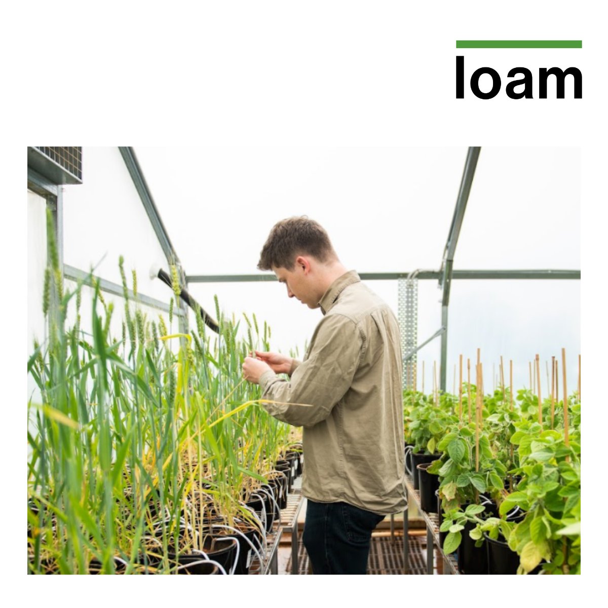 We're excited to be expanding our product team with a Technical Officer who'll execute on-farm trials to help demonstrate large-scale inoculum performance. Don't miss this opportunity to work with cutting edge #biotech at Loam's R&amp;D Hub in Orange, NSW.